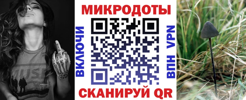 цена   Черепаново  Галлюциногенные грибы Psilocybine cubensis 
